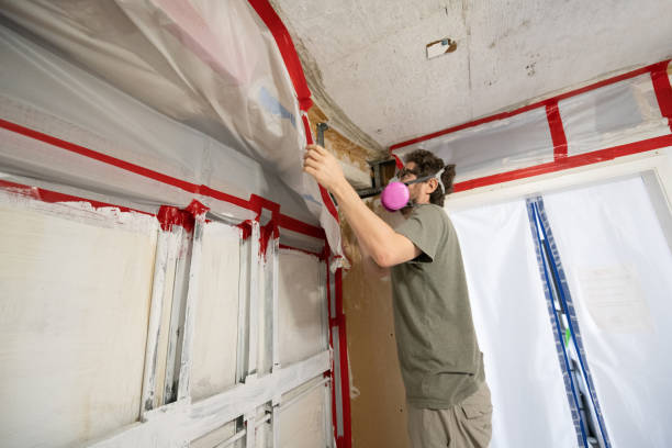 Best Crawl Space Mold Remediation  in Ames, TX