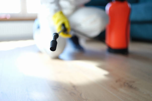 Ames, TX Mold Removal Company