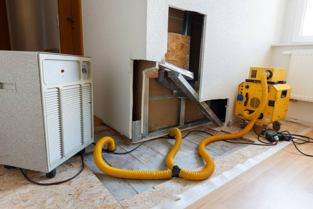 Best Mold Removal for HVAC Installations  in Ames, TX