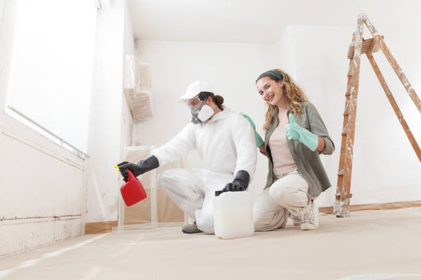 Mold Removal for HVAC Installations in Ames, TX