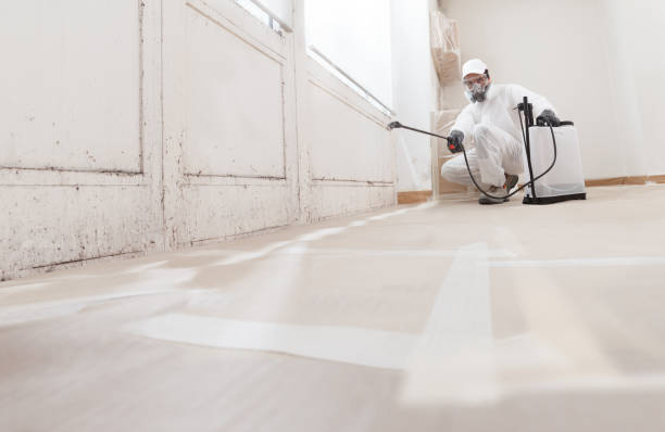 Best Post-Construction Mold Inspection  in Ames, TX