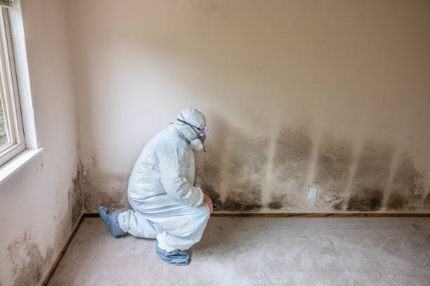 Best Post-Remediation Verification Testing  in Ames, TX